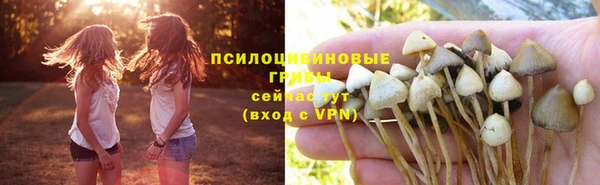 метамфетамин Богданович
