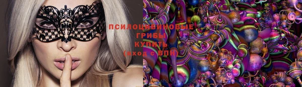 гидропоника Богородицк
