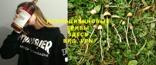 гидропоника Богородицк